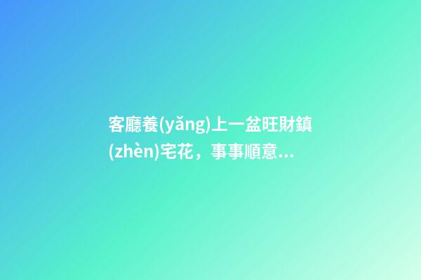 客廳養(yǎng)上一盆旺財鎮(zhèn)宅花，事事順意，就等著財源滾滾來吧！